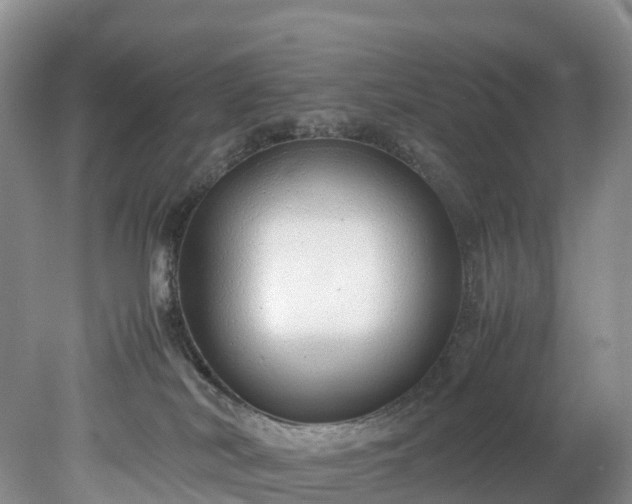 X0000078240038200611101047