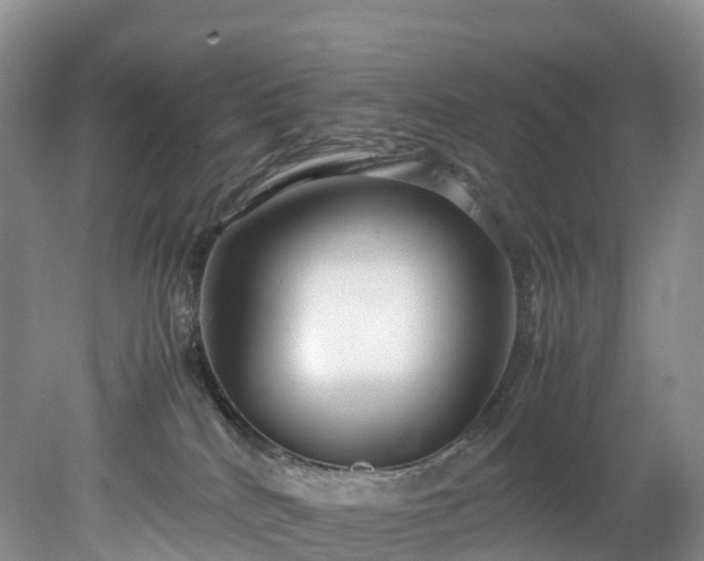 X0000078240040200611101047