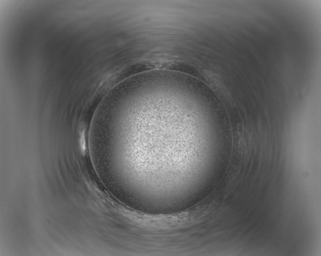X0000078240042200611101047