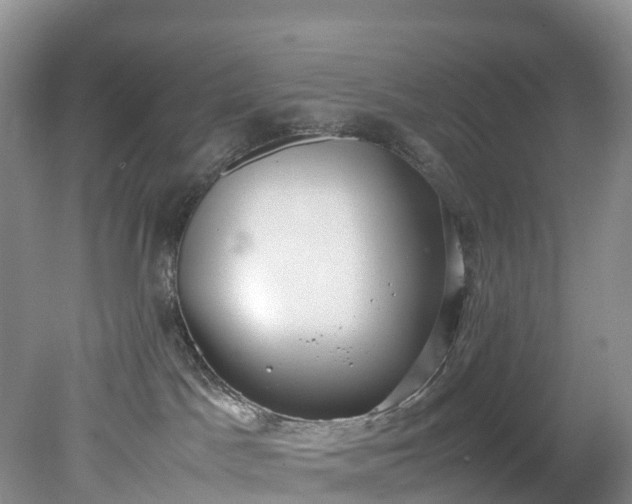 X0000078240045200611101047
