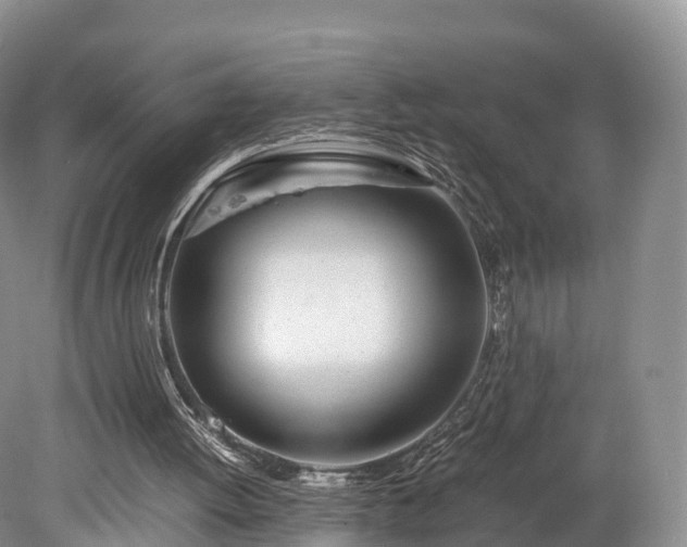 X0000078240052200611101046