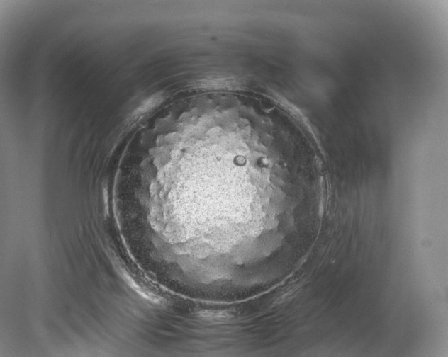 X0000078240061200611101046