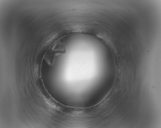 X0000078240066200611101046