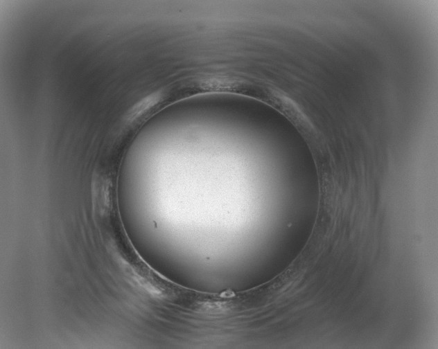 X0000078240071200611101046