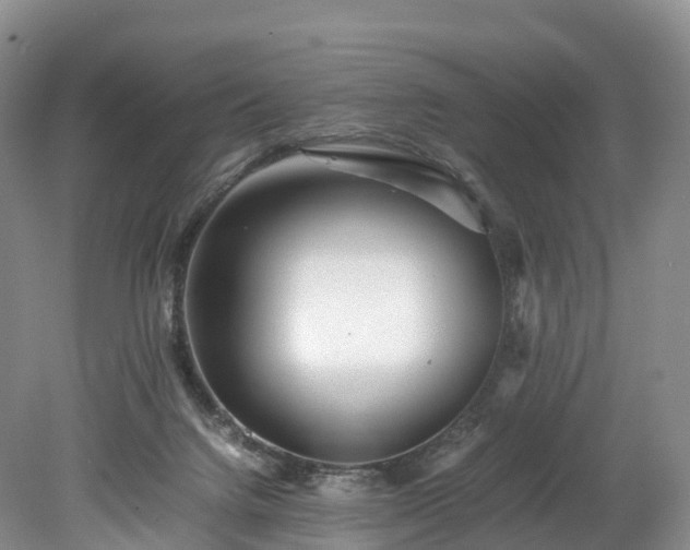 X0000078240072200611101046