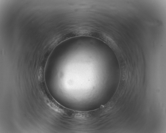 X0000078240077200611101046