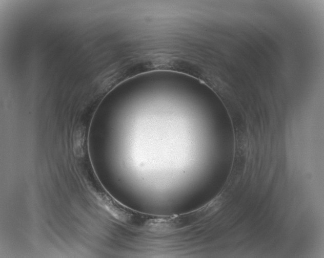 X0000078240082200611101046