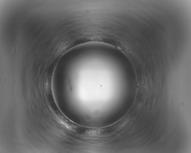X0000078240084200611101046