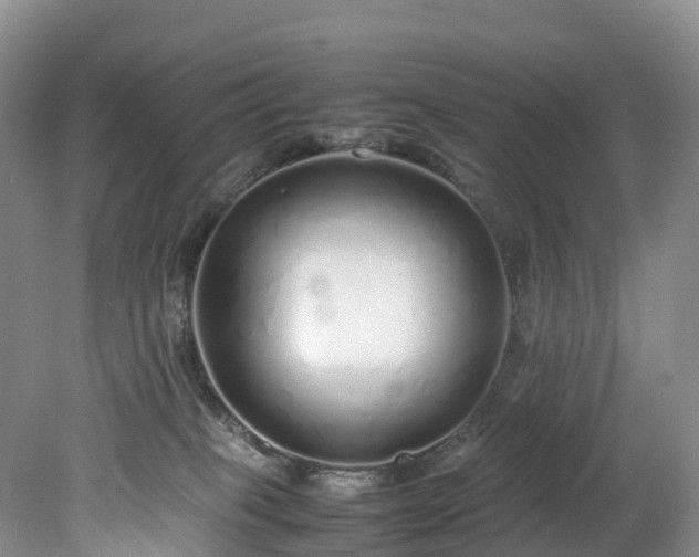 X0000078240085200611101046