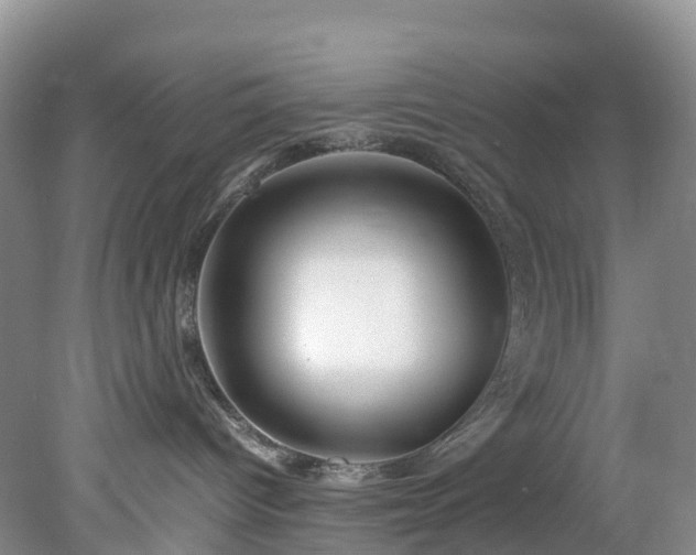 X0000078240096200611101047