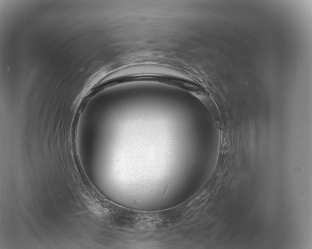 X0000078240099200611101046