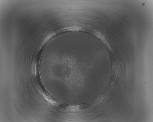 X0000078240110200611101046