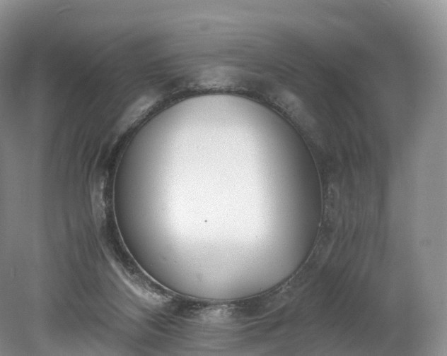 X0000078240116200611101045