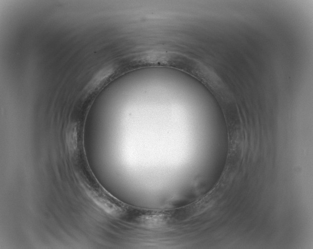 X0000078240120200611101045