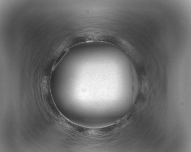 X0000078240121200611101045