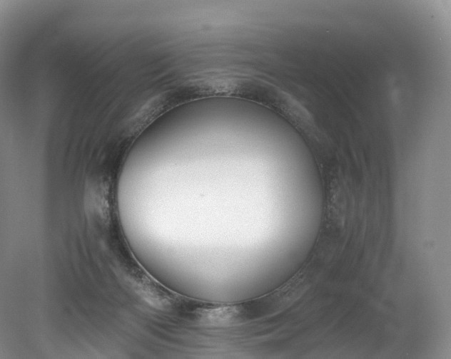 X0000078240122200611101045