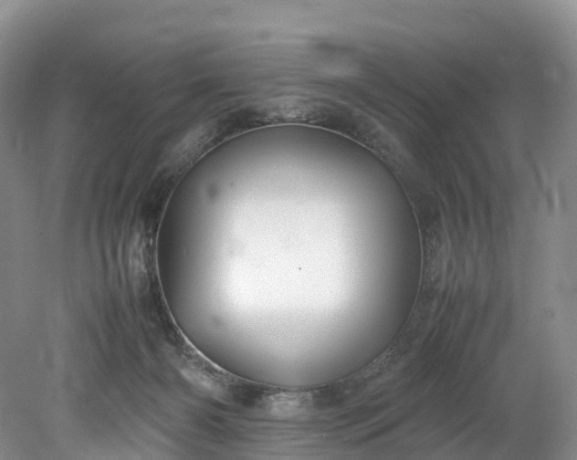 X0000078240126200611101045