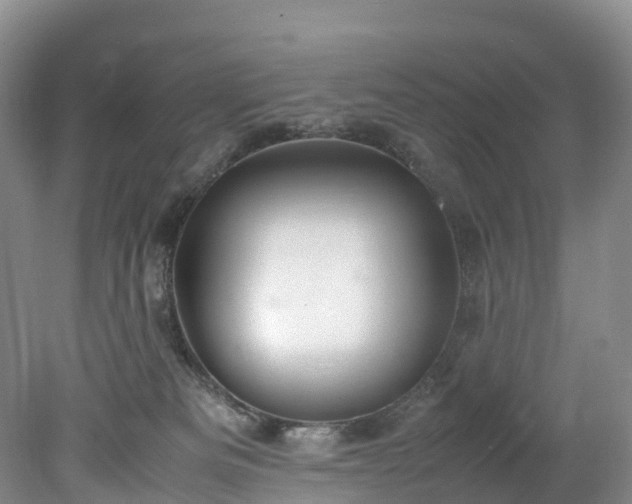 X0000078240133200611101045