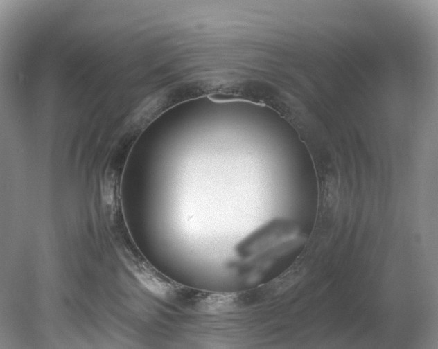 X0000078240138200611101045