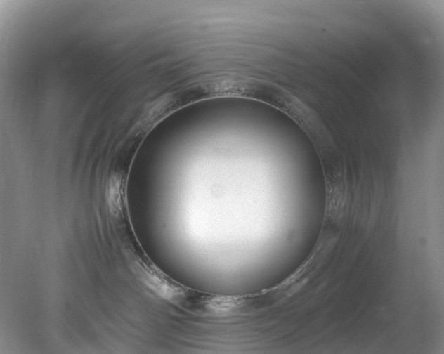 X0000078240142200611101045