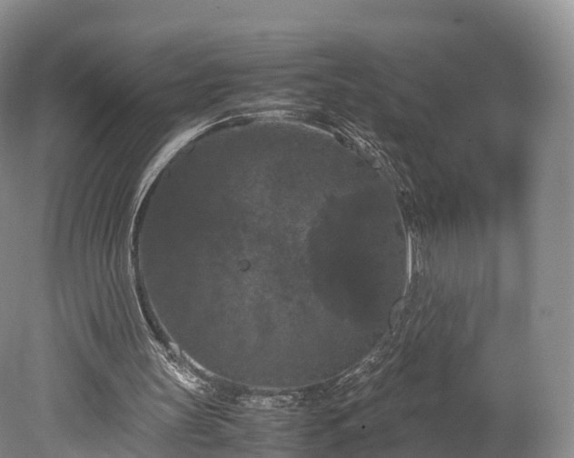 X0000078240147200611101044