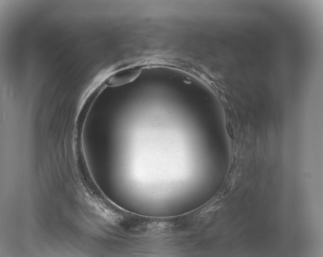 X0000078240152200611101044