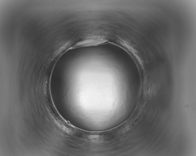 X0000078240153200611101044