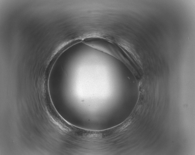 X0000078240156200611101044