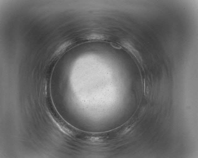 X0000078240157200611101044