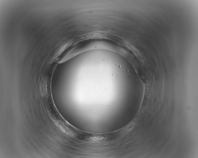 X0000078240158200611101044