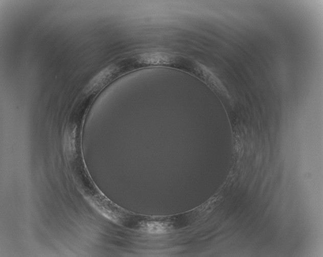 X0000078240163200611101044