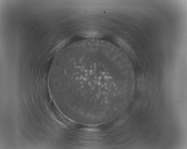 X0000078240165200611101045