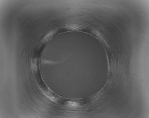X0000078240167200611101045