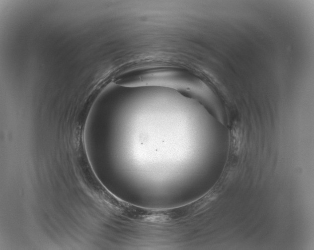 X0000078240168200611101045