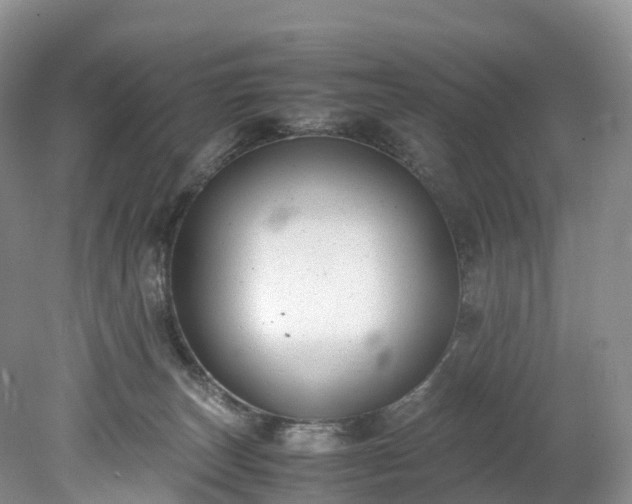 X0000078240179200611101045