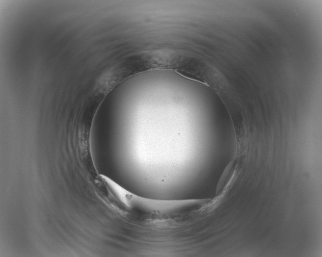 X0000078240186200611101045
