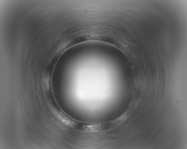 X0000078240188200611101045