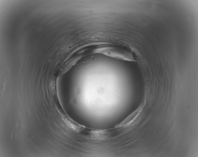 X0000078240192200611101045