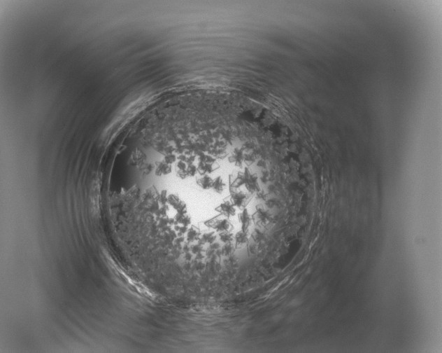 X0000078240194200611101044