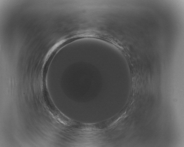 X0000078240200200611101044