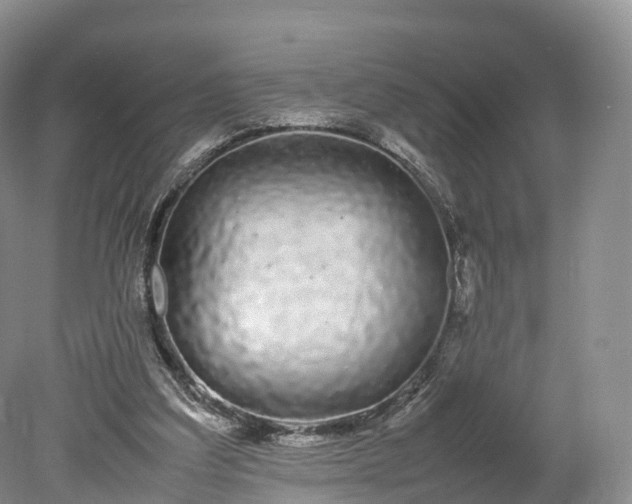 X0000078240203200611101044