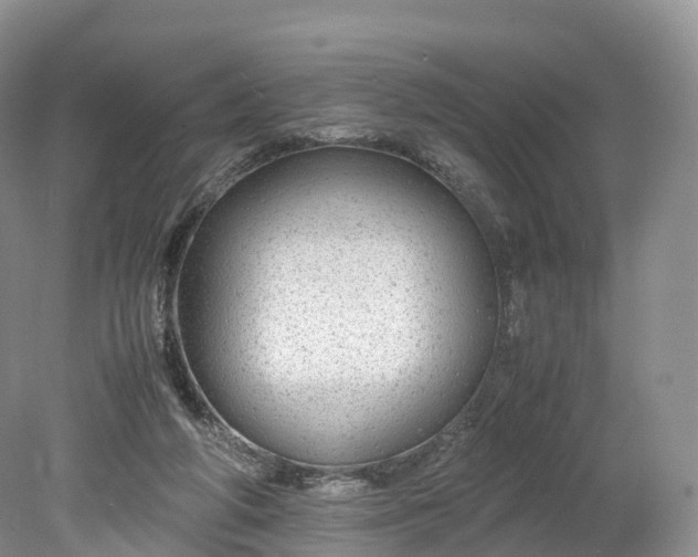 X0000078240210200611101044