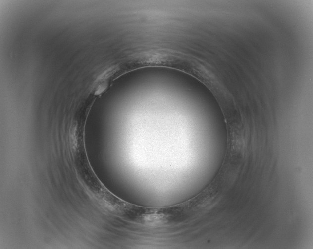 X0000078240216200611101044