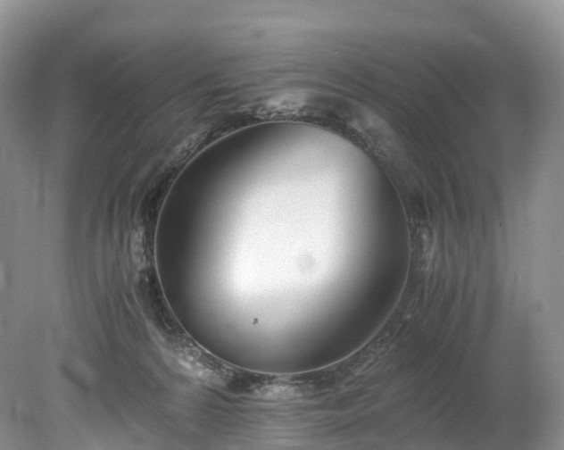 X0000078240224200611101044