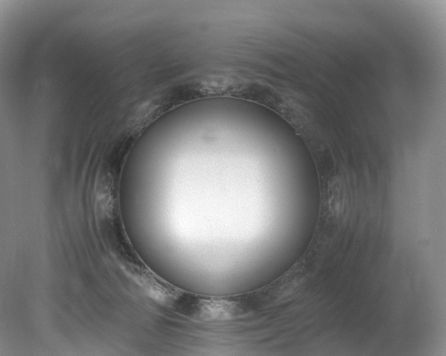 X0000078240226200611101044