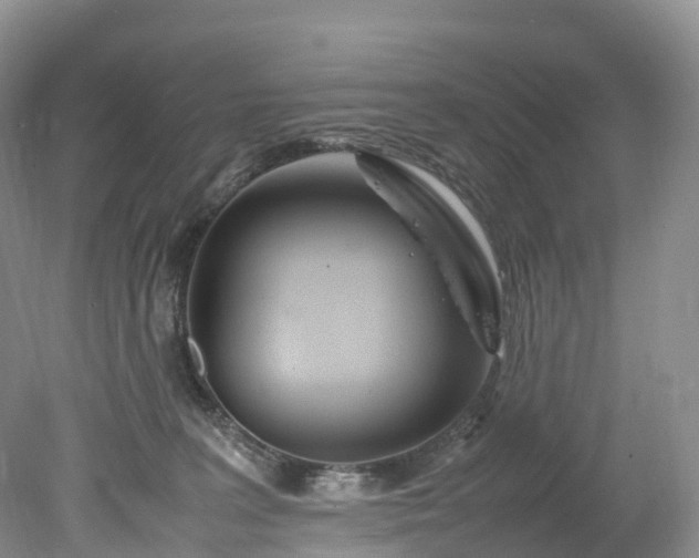 X0000078240227200611101044