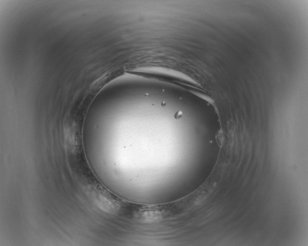 X0000078240228200611101044