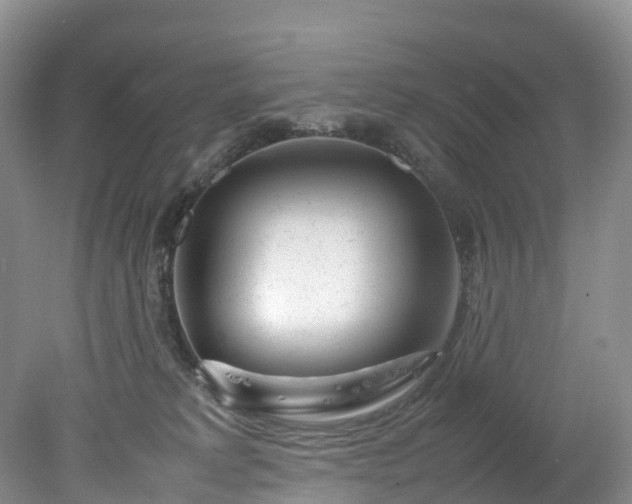 X0000078240229200611101044