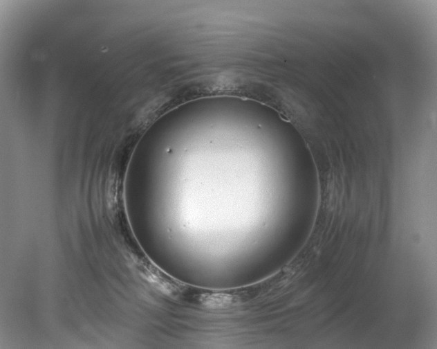 X0000078240230200611101044