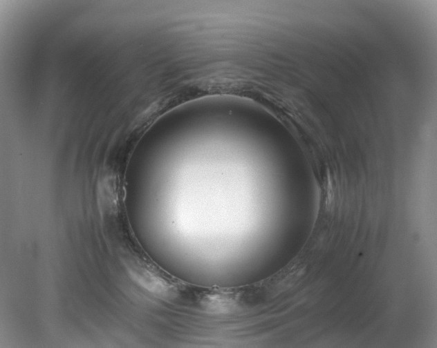 X0000078240232200611101044